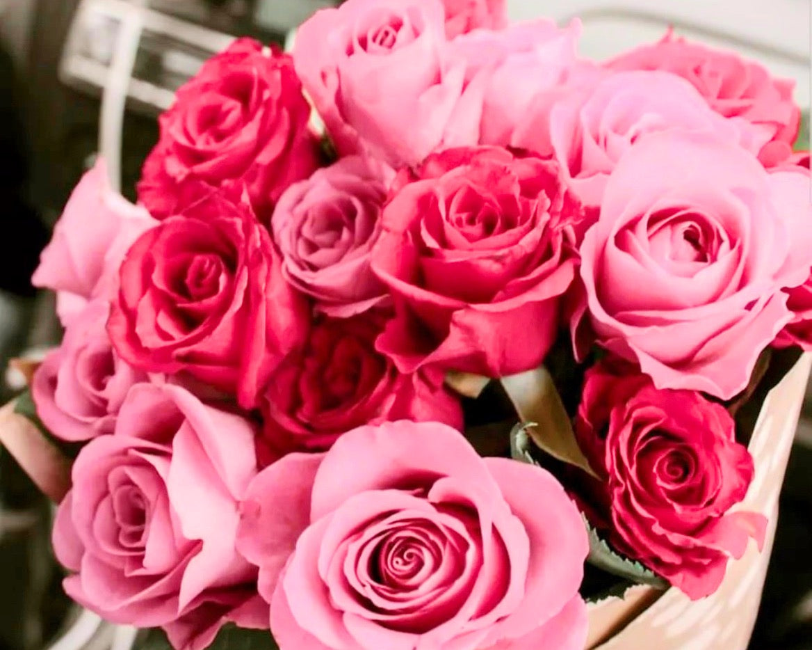 新規登録20万Aセット