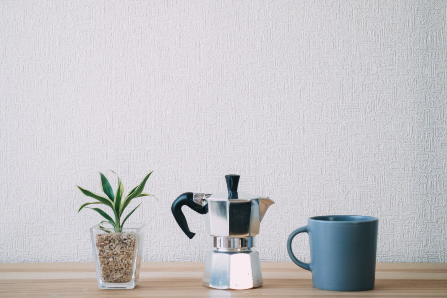 ディストリビュータ資格継続更新料